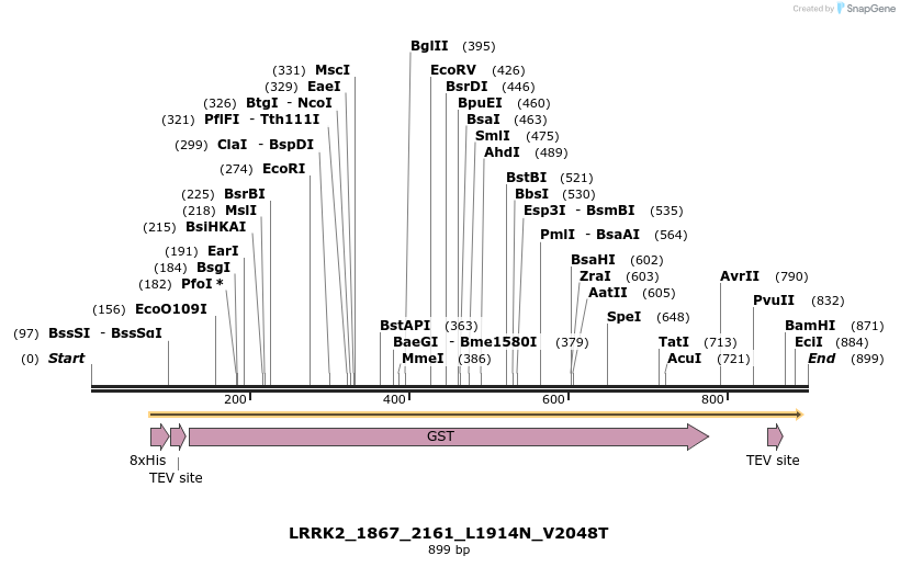 53167_map