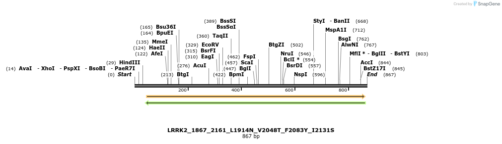 53168_map