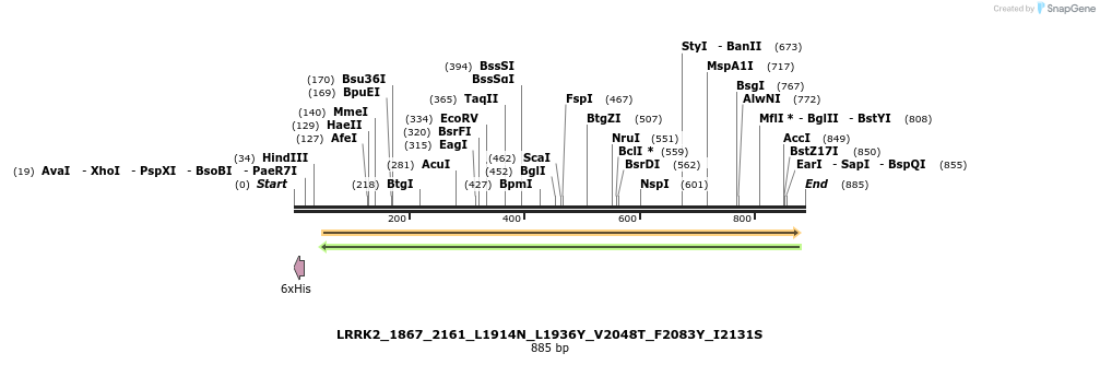 53170_map