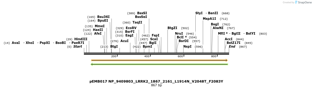 53172_map