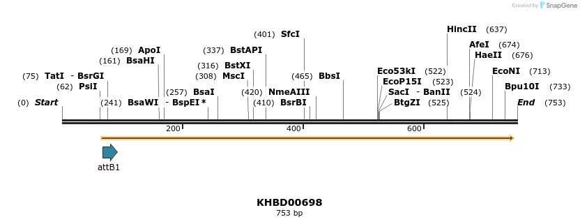 53175_map