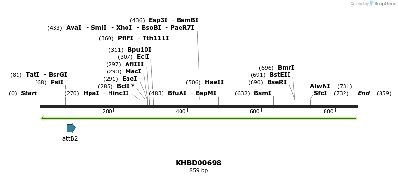 53177_map