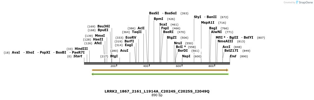 53181_map