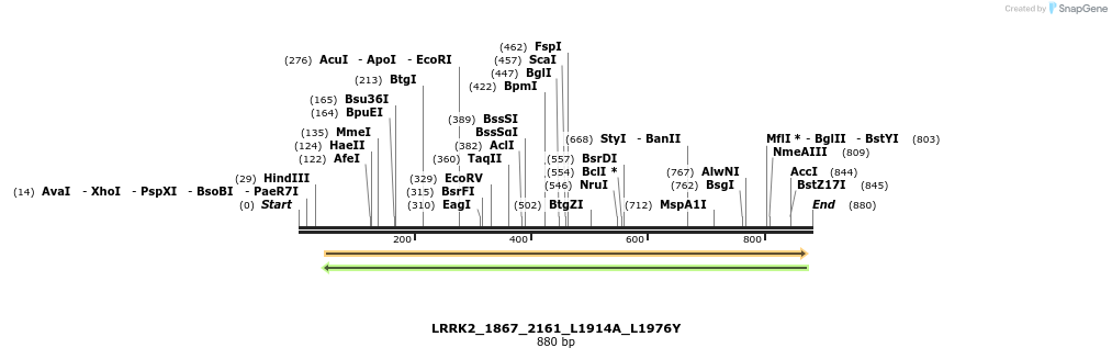 53183_map