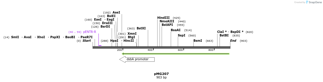 53189_map