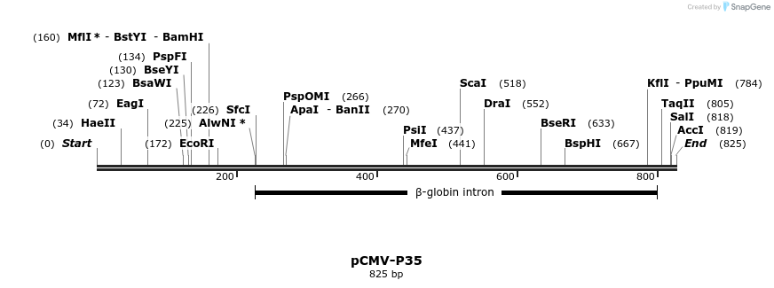 53190_map