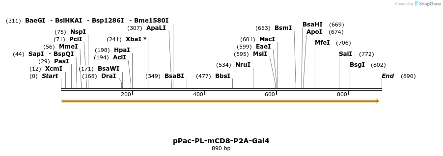 53193_map