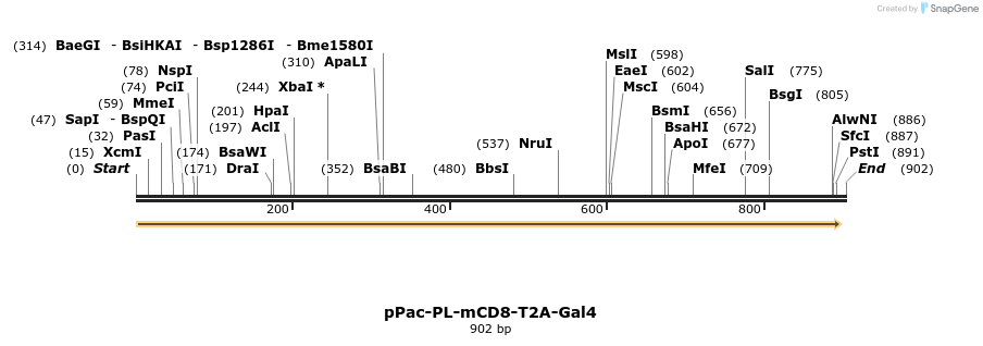 53194_map