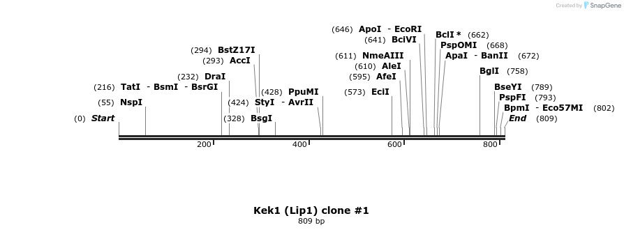 53195_map