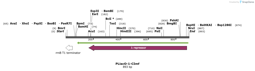 53202_map