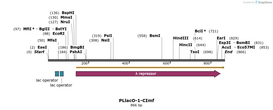 53205_map
