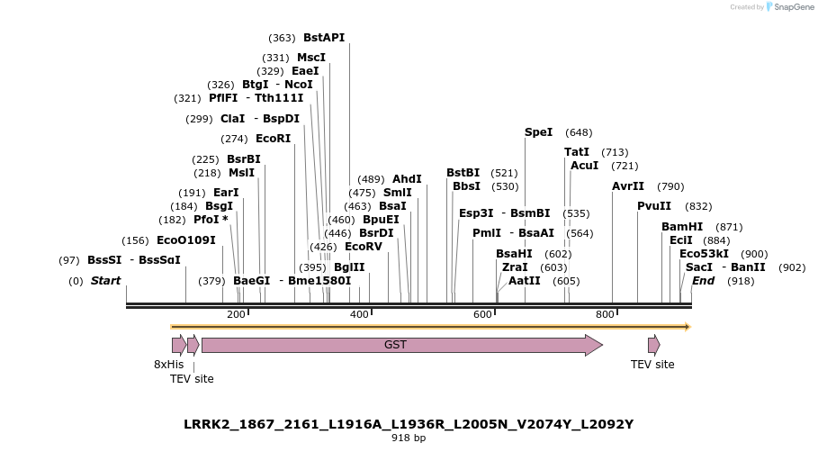 53206_map