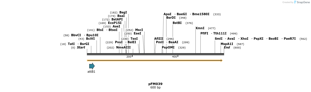 53212_map