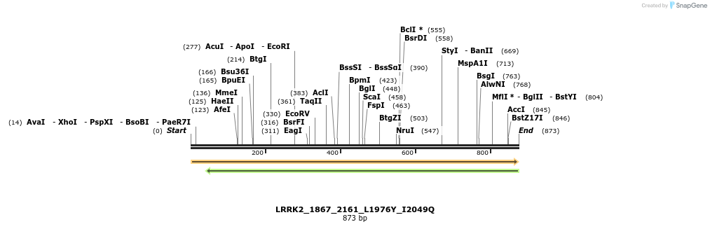 53213_map