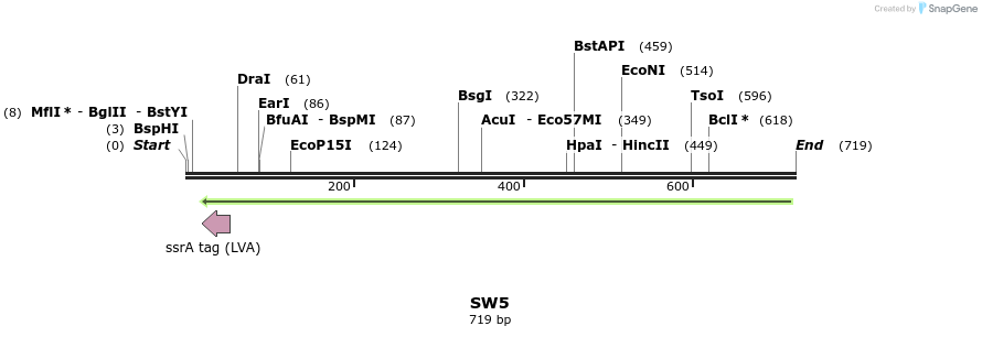 53216_map