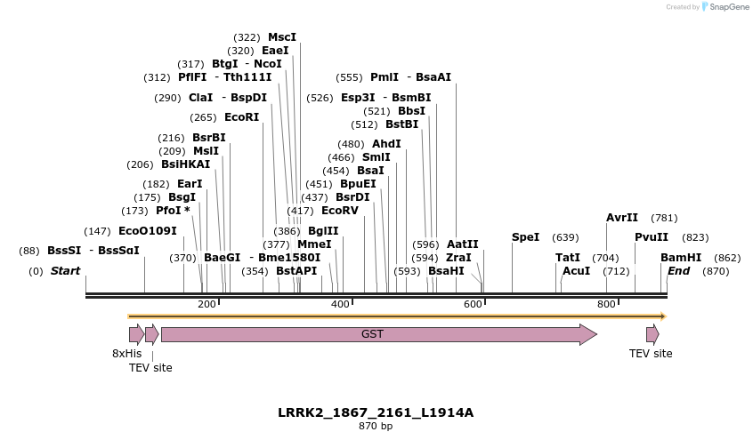 53217_map