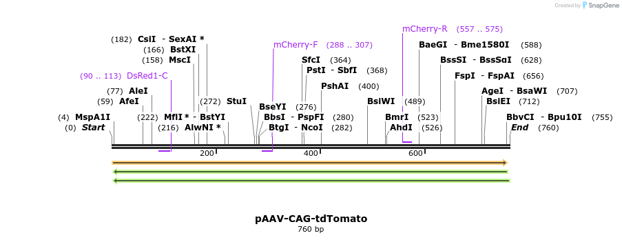 53220_map