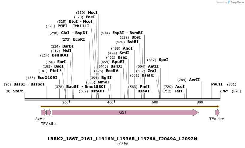 53221_map