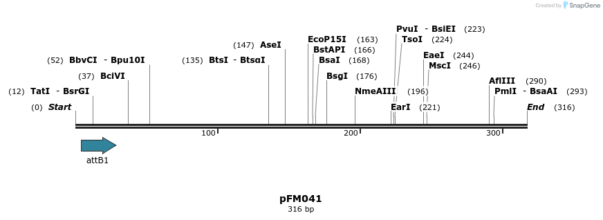 53222_map