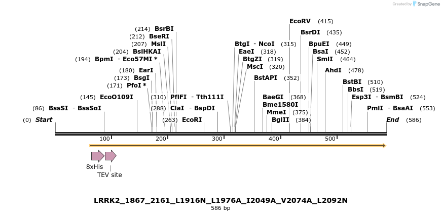53225_map