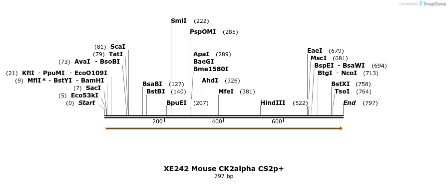 53229_map