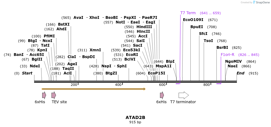 53230_map