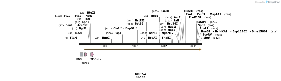 53231_map