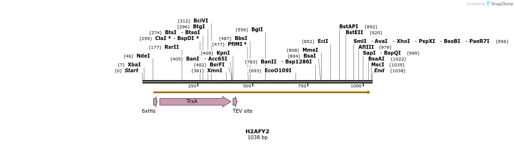 53237_map