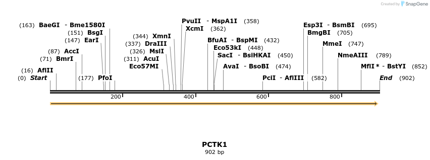 53238_map