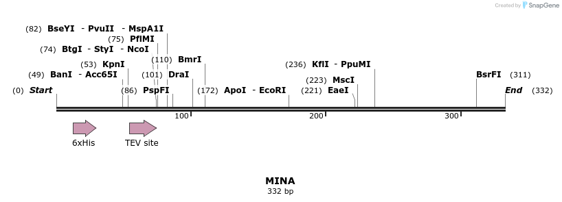 53239_map