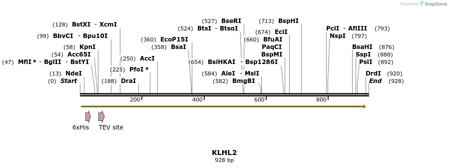 53247_map
