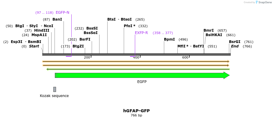 53248_map