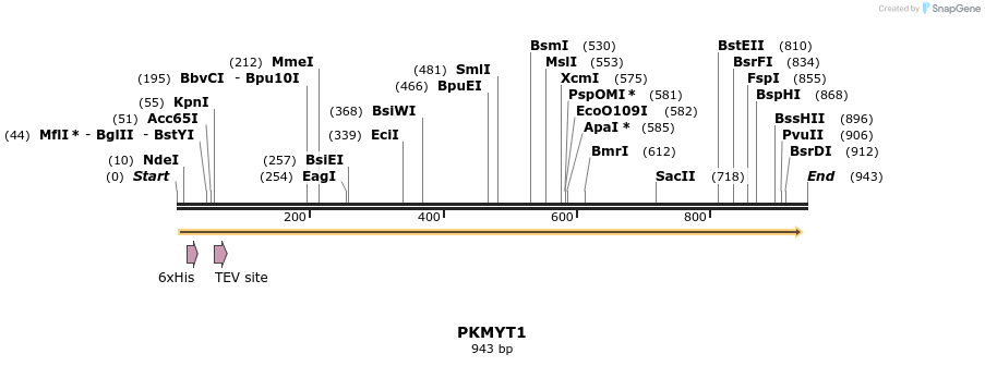 53249_map