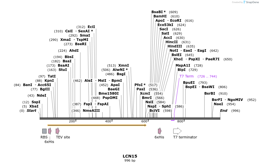 53250_map