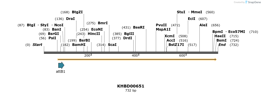 53253_map