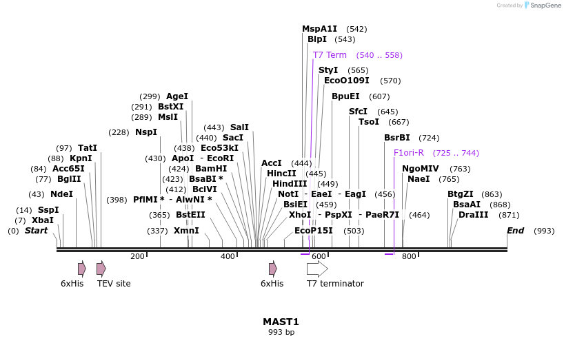 53255_map