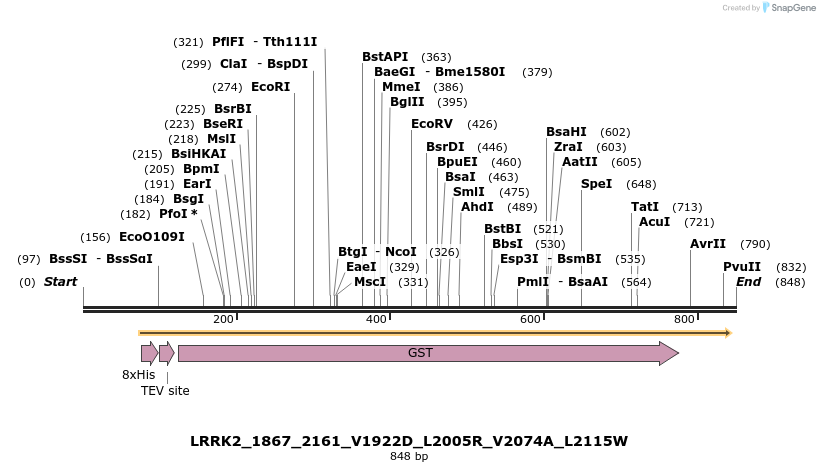 53261_map