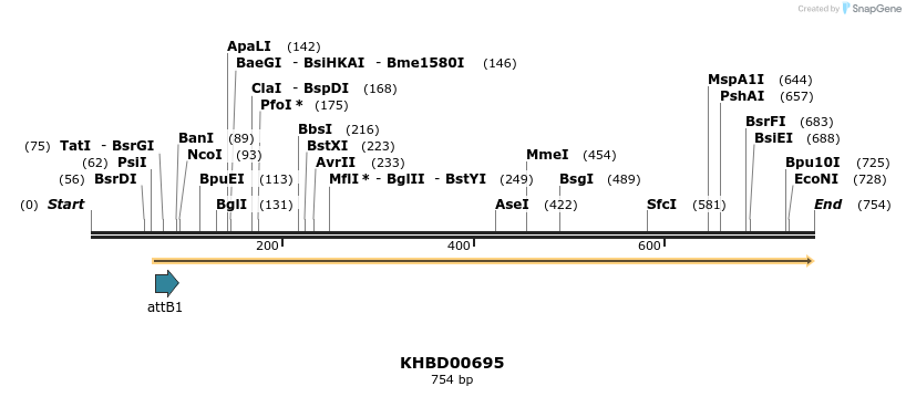 53263_map
