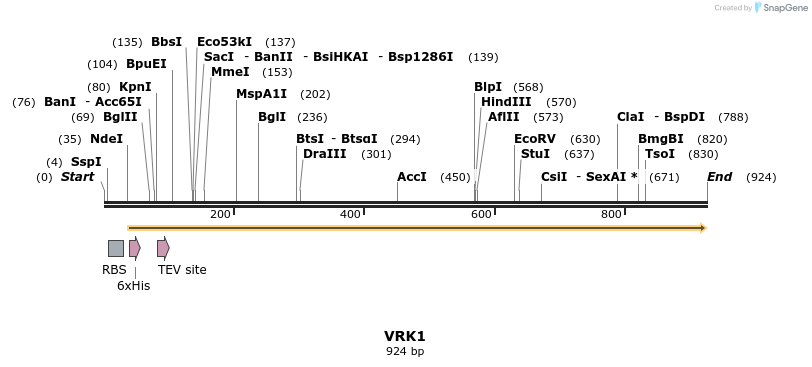 53264_map