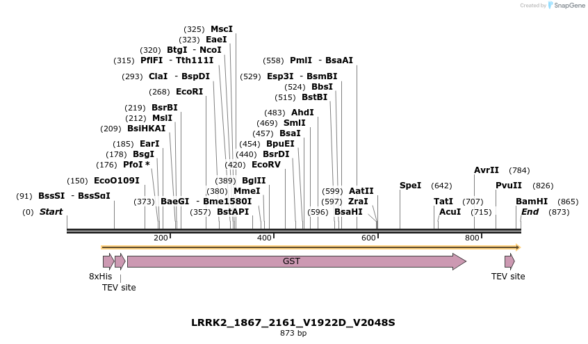 53273_map