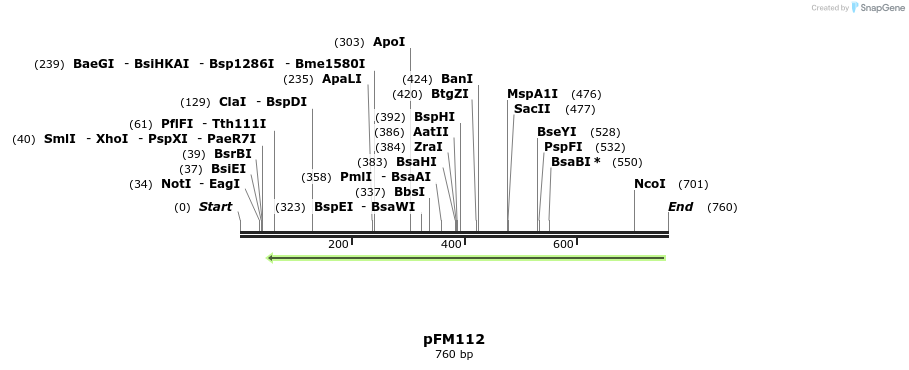53277_map