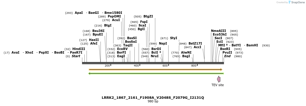 53280_map