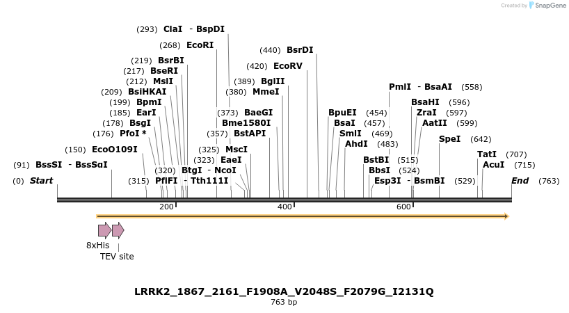 53281_map