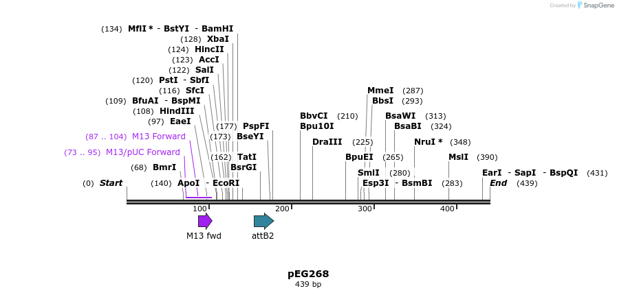 53284_map