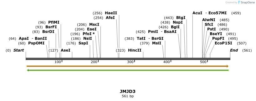 53286_map
