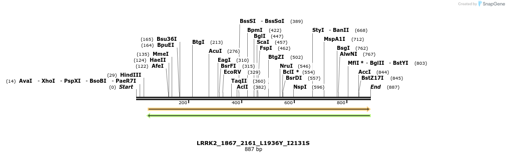 53288_map