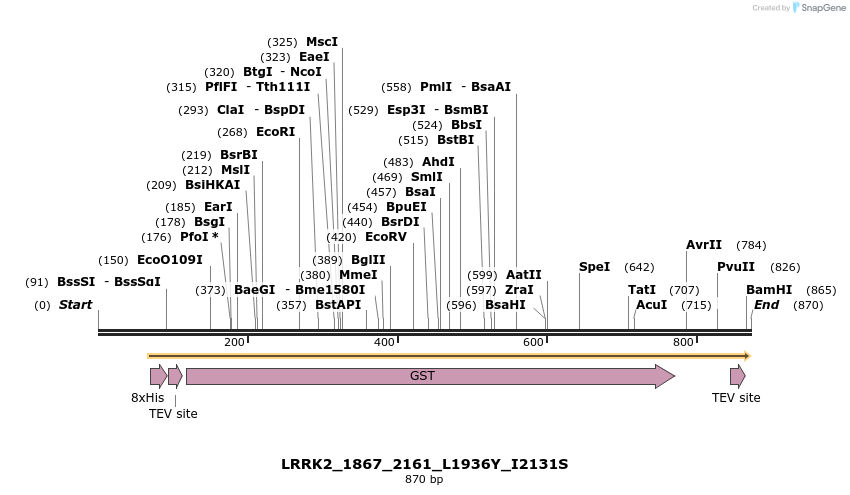 53289_map