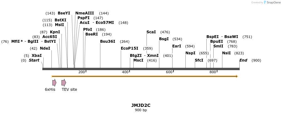 53290_map