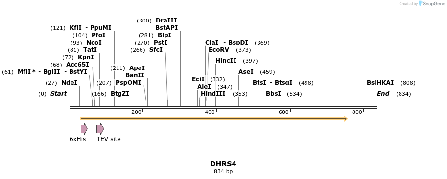 53293_map