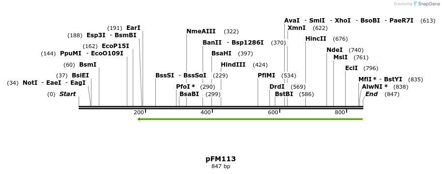 53295_map